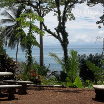 Copa de Arbol Beach and Rainforest Resort