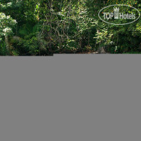 Copa de Arbol Beach and Rainforest Resort