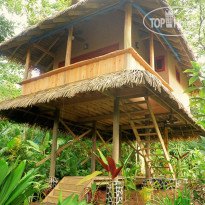 Copa de Arbol Beach and Rainforest Resort