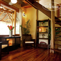 Copa de Arbol Beach and Rainforest Resort Коттедж Palm