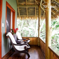 Copa de Arbol Beach and Rainforest Resort Коттедж Palm