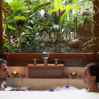 Copa de Arbol Beach and Rainforest Resort Коттедж Palm