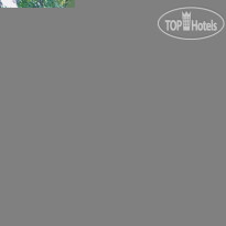 Copa de Arbol Beach and Rainforest Resort Коттедж Amargo