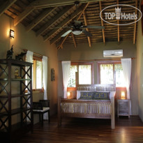 Copa de Arbol Beach and Rainforest Resort Коттедж Mango