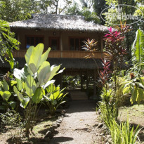 Copa de Arbol Beach and Rainforest Resort Коттедж Bamboo