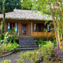 Copa de Arbol Beach and Rainforest Resort Коттедж Coco