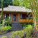 Copa de Arbol Beach and Rainforest Resort Коттедж Coco