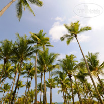 Cocomar Residences & Beachfront Hotel
