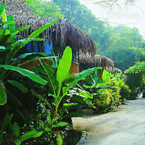 Tango Mar Beach and Golf Resort