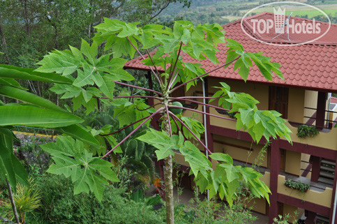 Hotelier's photos Whales and Dolphins Eco Lodge 3*