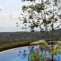 Whales and Dolphins Eco Lodge