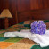 Cloud Forest Lodge by Boena 