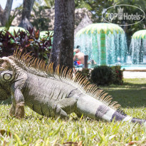 Barcelo Tambor
