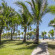 Barcelo Tambor 