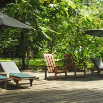 Playa Nicuesa Rainforest Lodge 