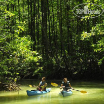 Playa Nicuesa Rainforest Lodge 