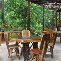 La Foresta Nature Resort