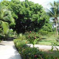 The Zancudo Lodge