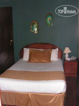 New photos from tourists Hotel 1492 3*