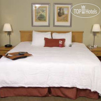 Hampton by Hilton San Jose Airport 