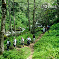 Savegre Hotel Natural Reserve & Spa