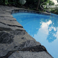 Lost Iguana Resort & Spa 