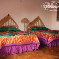 Lost Iguana Resort & Spa 