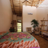 Lost Iguana Resort & Spa 