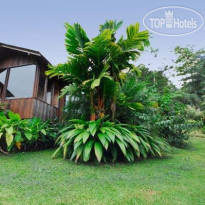 Arenal Paraiso Resort Spa & Thermo Mineral Hot Springs 