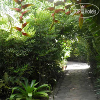 Nayara Hotel & Gardens