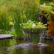 Nayara Hotel & Gardens
