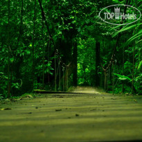 Rio Celeste Hideaway