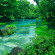 Rio Celeste Hideaway 