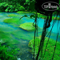Rio Celeste Hideaway