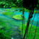 Rio Celeste Hideaway 
