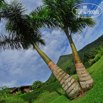 Lomas Del Volcan