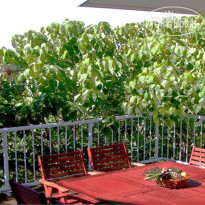 Castaway Cove Resort Noosa