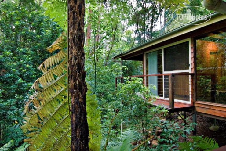 Hotel photo Tree Houses of Montville 4*
