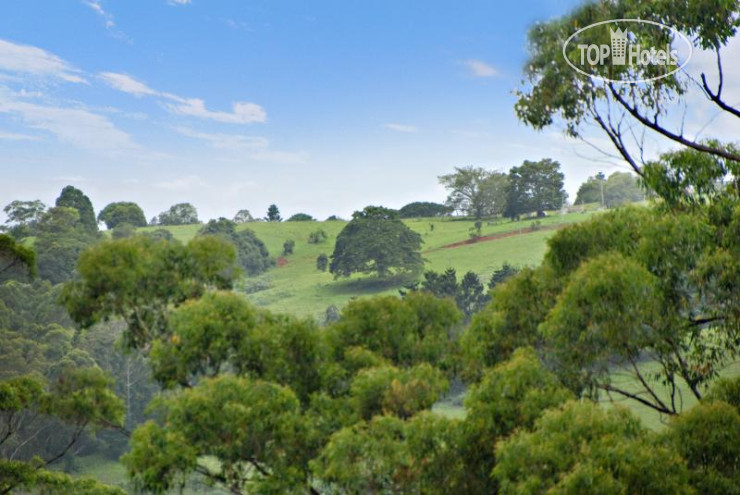 New photos from tourists Tree Houses of Montville 4*