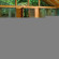 Tree Houses of Montville 