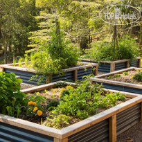Spicers Tamarind Retreat 