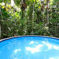 Daintree Wilderness Lodge 