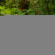 Silky Oaks Lodge 