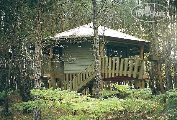 Photos Federation Gardens & Possums Hideaway