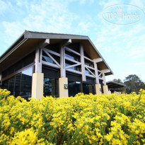 Chateau Elan at The Vintage Hunter Valley 