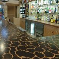 Best Western Zebra Motel 