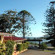 Best Western Gosford Motor Inn 