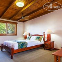 OReillys Rainforest Retreat 