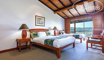 Hotel photo OReillys Rainforest Retreat 4*