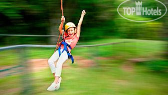 New photos from tourists OReillys Rainforest Retreat 4*
